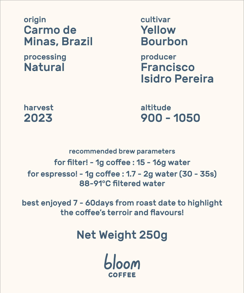 Brazil Santa Ines