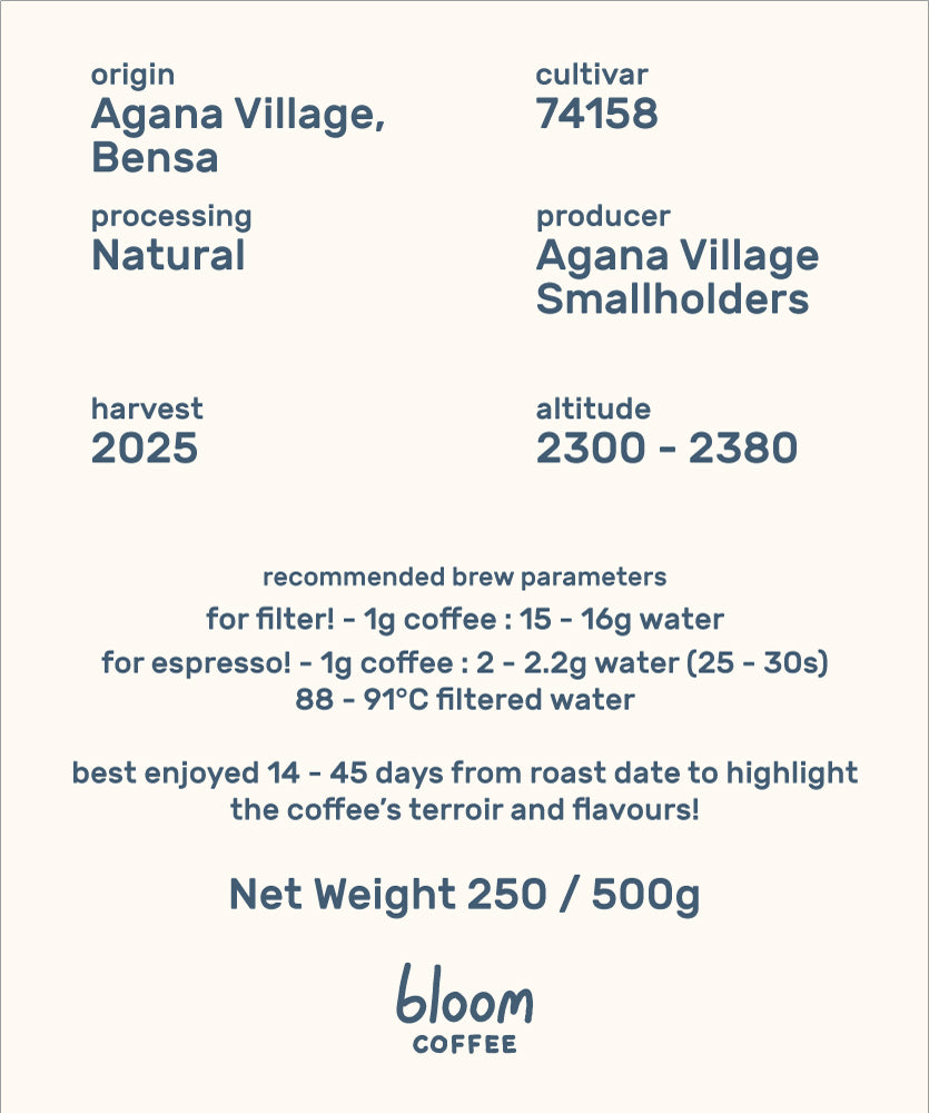 Ethiopia Alo Agana