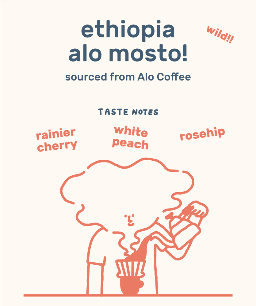 Ethiopia Alo Mosto Anaerobic
