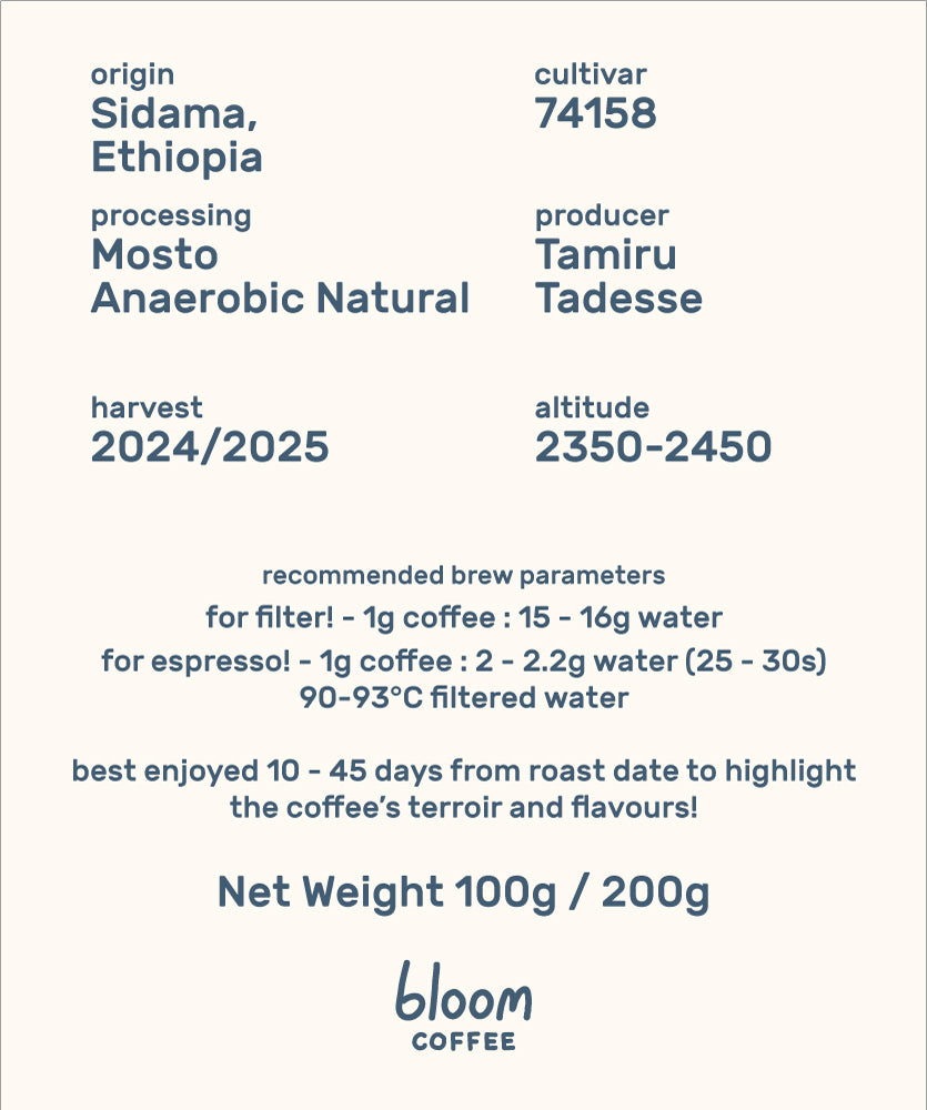 Ethiopia Alo Mosto Anaerobic