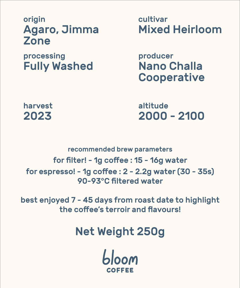 Ethiopia Nano Challa #2