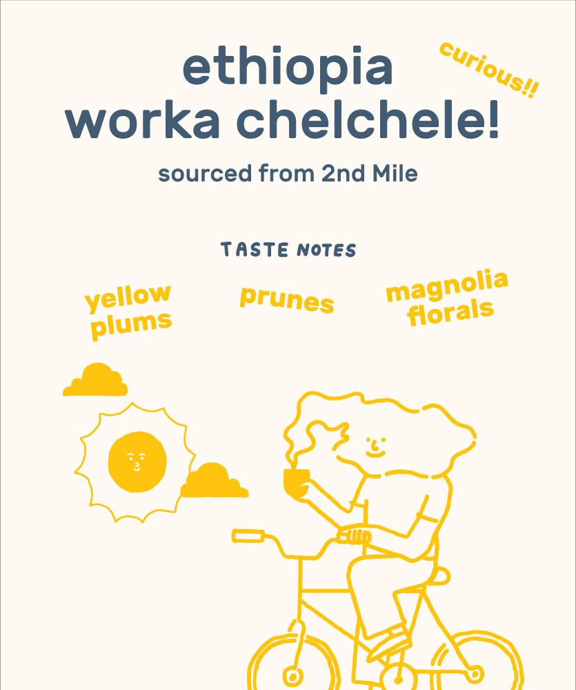 Ethiopia Worka Chelchele