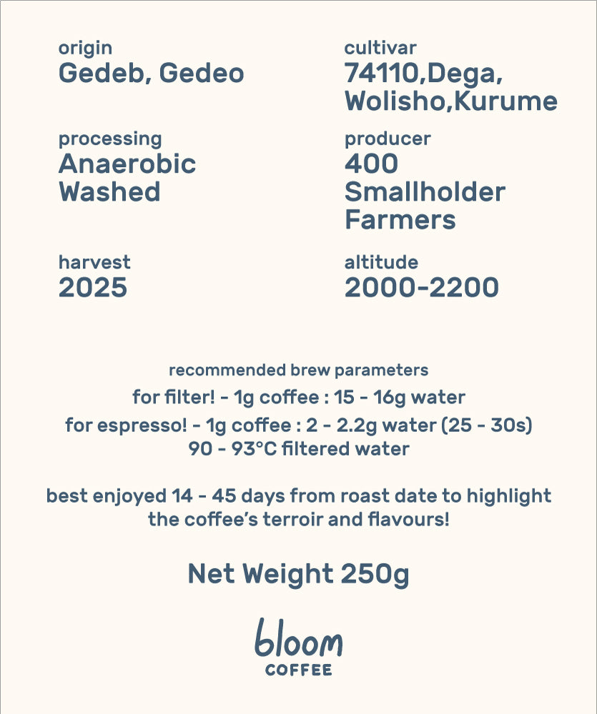 Ethiopia Worka Chelchele