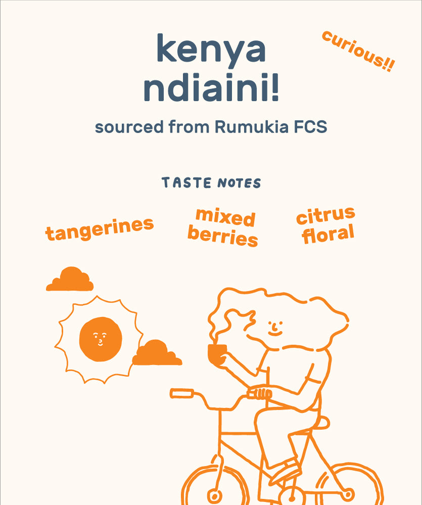 Kenya Ndiaini Natural