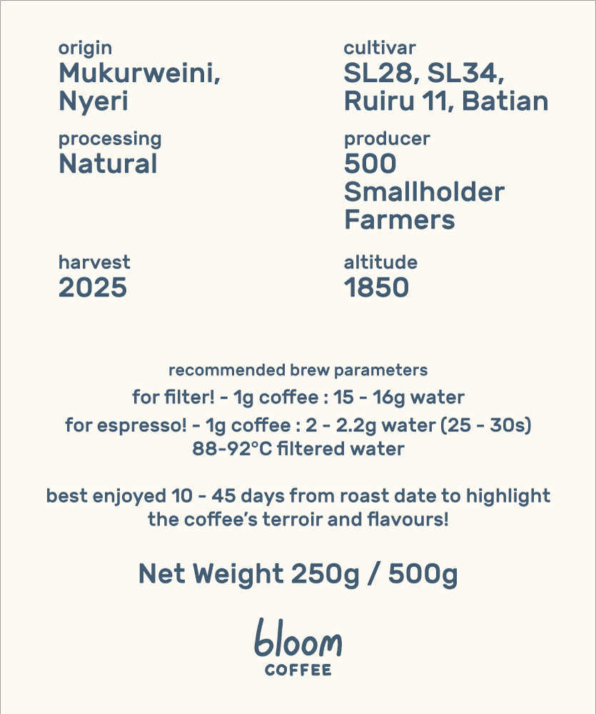 Kenya Ndiaini Natural