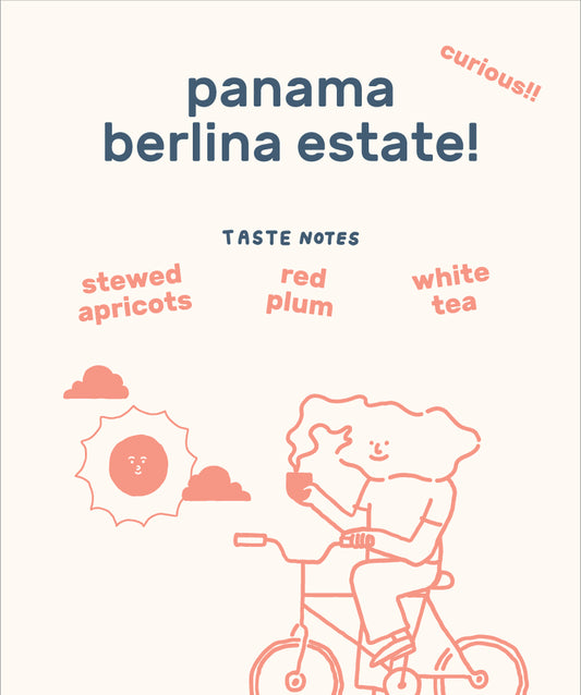 Panama Berlina Estate